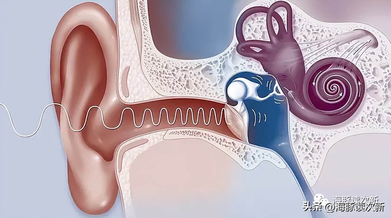 为全球巨头提供呼吸机+人工耳蜗核心组件，暴涨后能否持续美好？