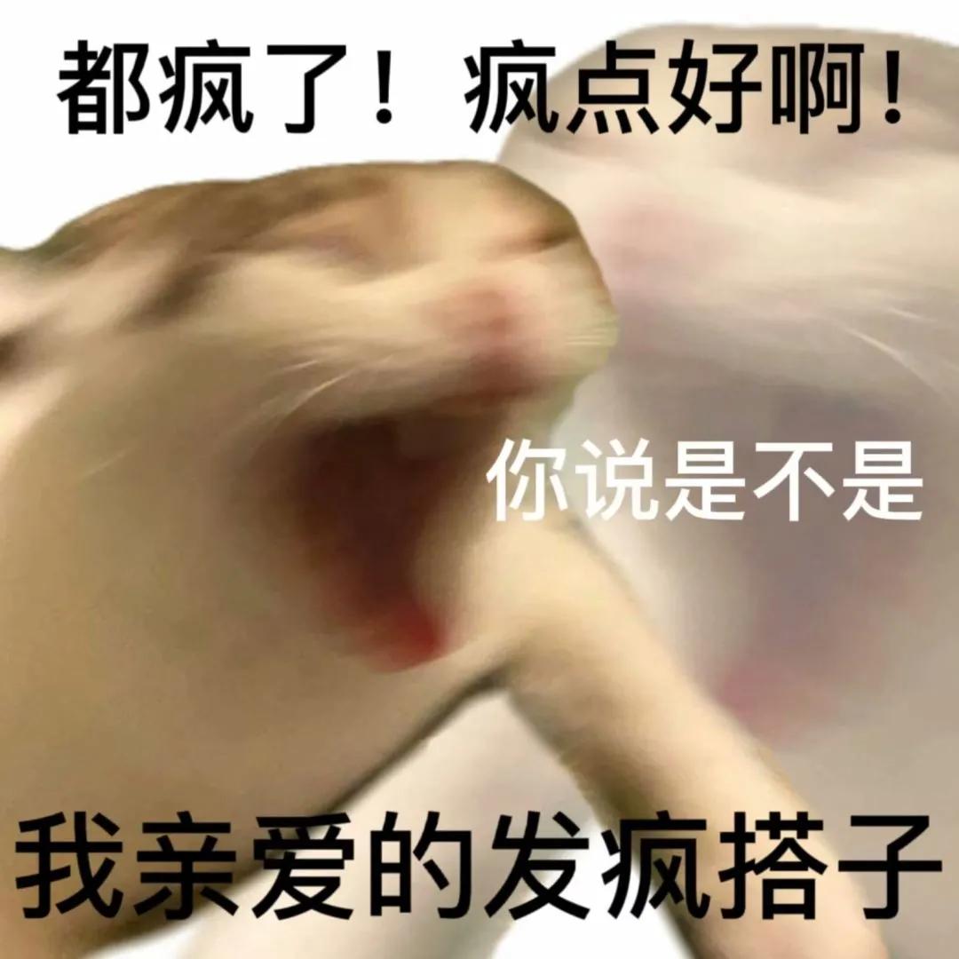 心里乱七八糟的表情包,搞笑图片沙雕表情包可保存