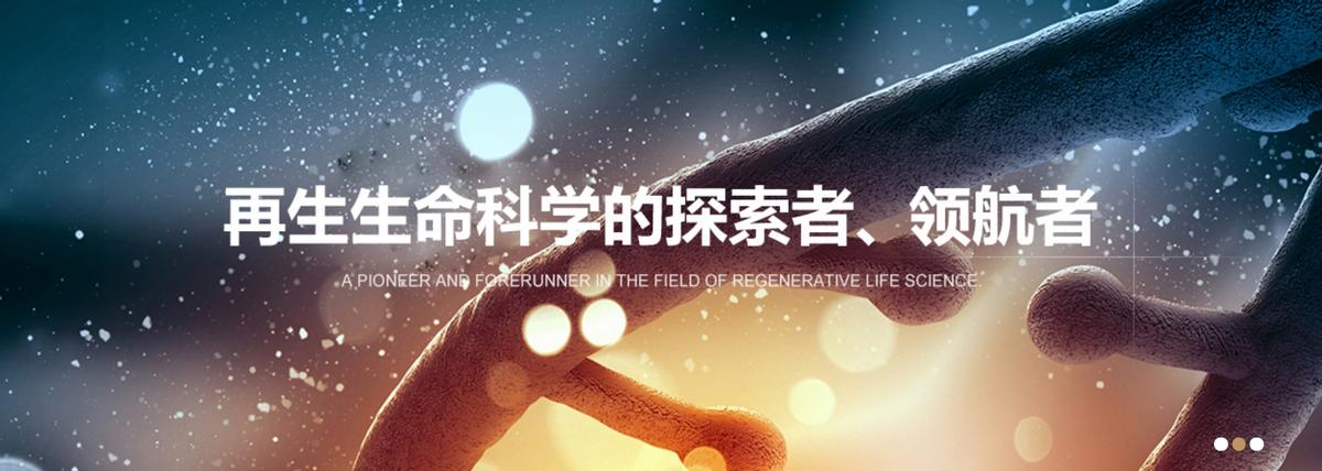 美宝集团有限公司,美宝集团