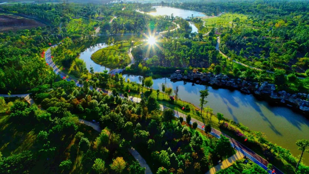 推动红河高质量跨越发展,奋力推动红河高质量跨越式发展