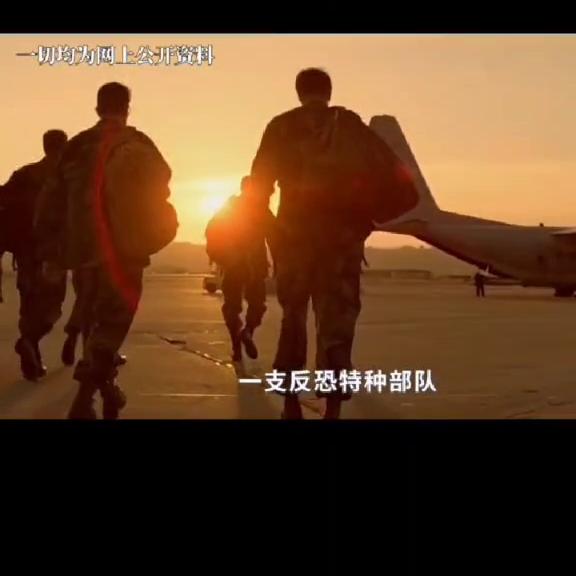 世界上十大反恐特种部队,世界十大特种部队突击步枪