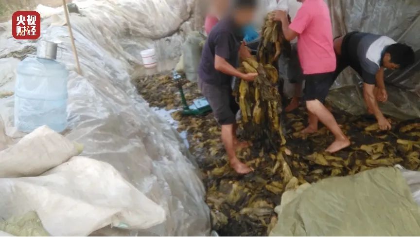 315晚会曝光的主播,女主播竟是抠脚大汉