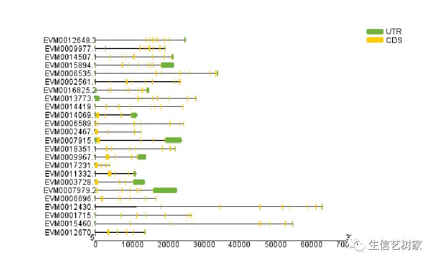 TBtools|基因家族分析,进化树、Motifs、结构域