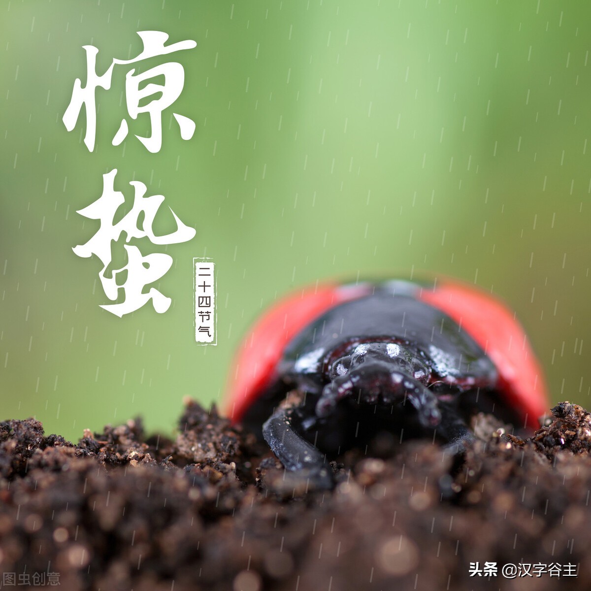 惊蛰惊动了哪些虫子,惊蛰惊虫