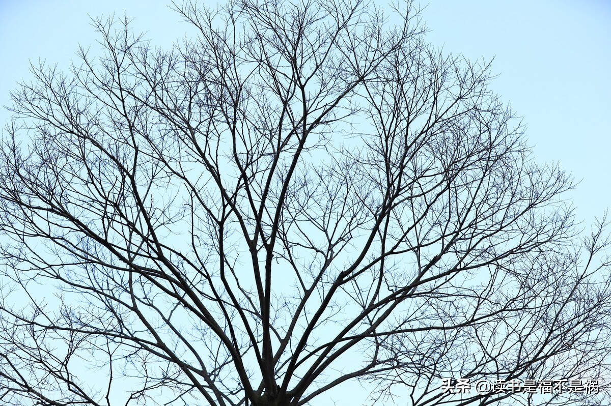 国学史记白话文讲解81个视频,国学经典讲解第七八讲