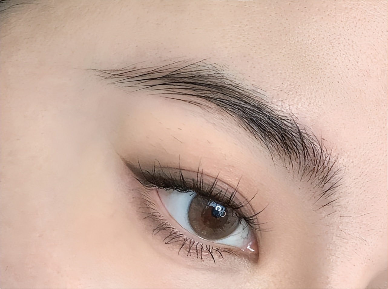 迪奥抄袭后续官司,迪奥抄袭网络舆情分析