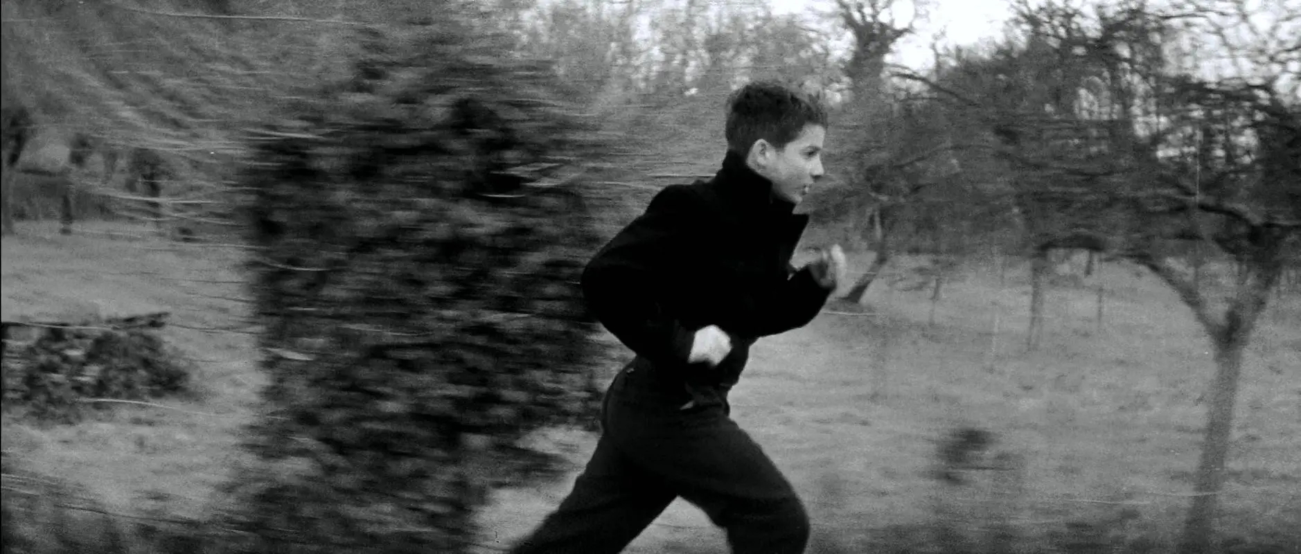 奥斯卡和欧洲三大电影节影后,金鸡奖和奥斯卡奖哪个级别高