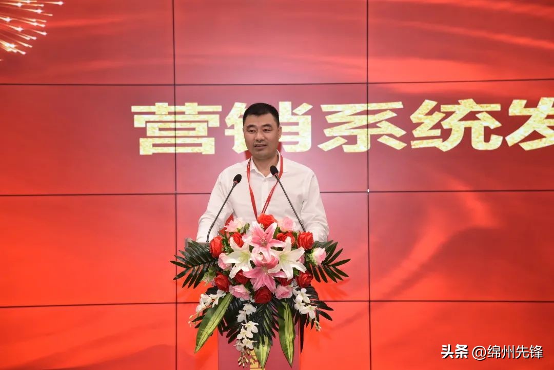 广东长虹整机是干什么的,广东中山长虹做什么的