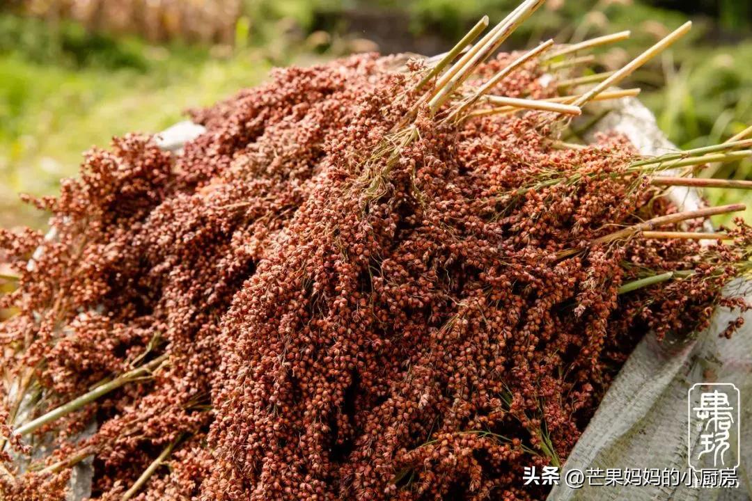 肆拾玖坊泰斗53度酒价格一览表,肆拾玖坊泰斗53度回收多少钱一瓶