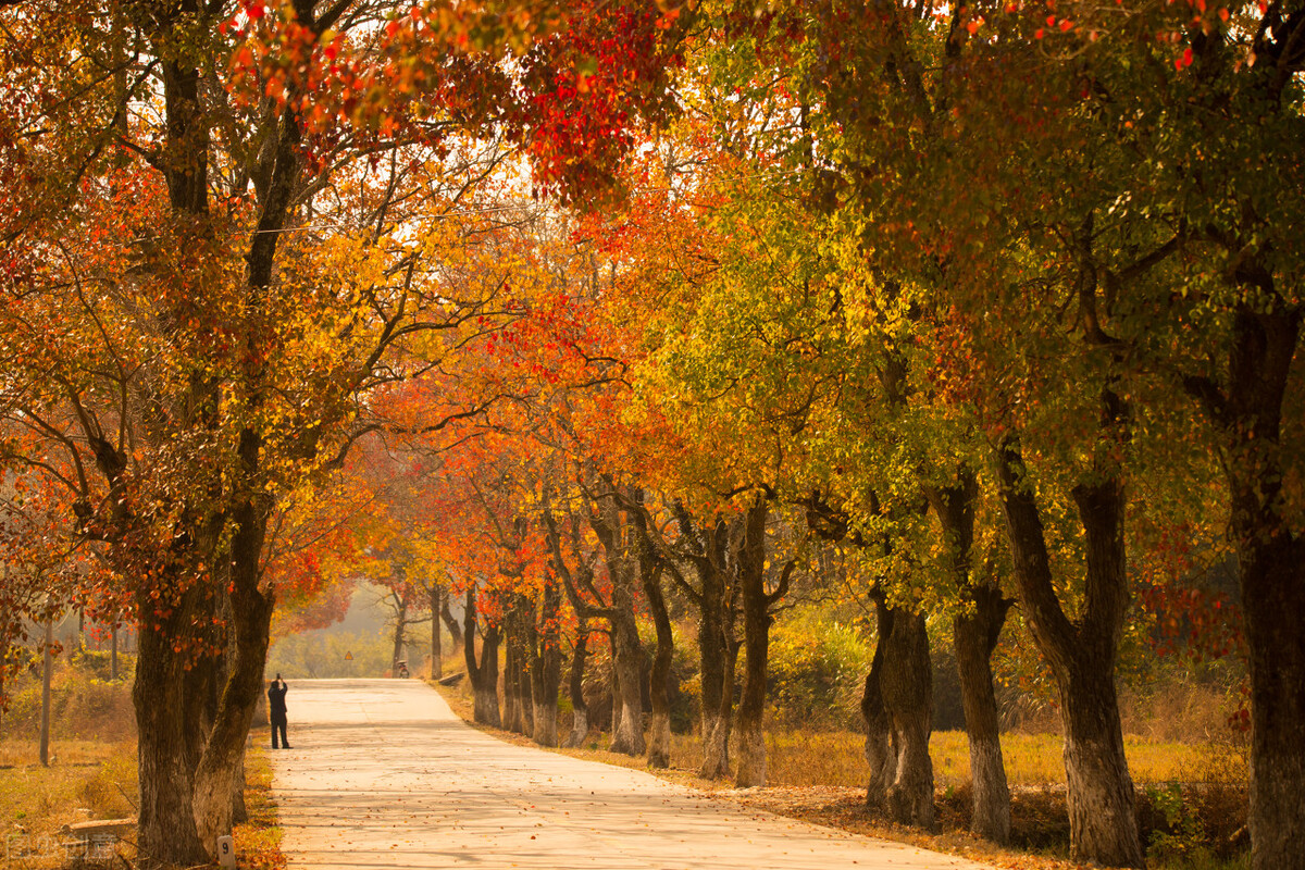 足球竞彩世界杯小组赛比分,竞彩足球今日推荐基尔马格德堡
