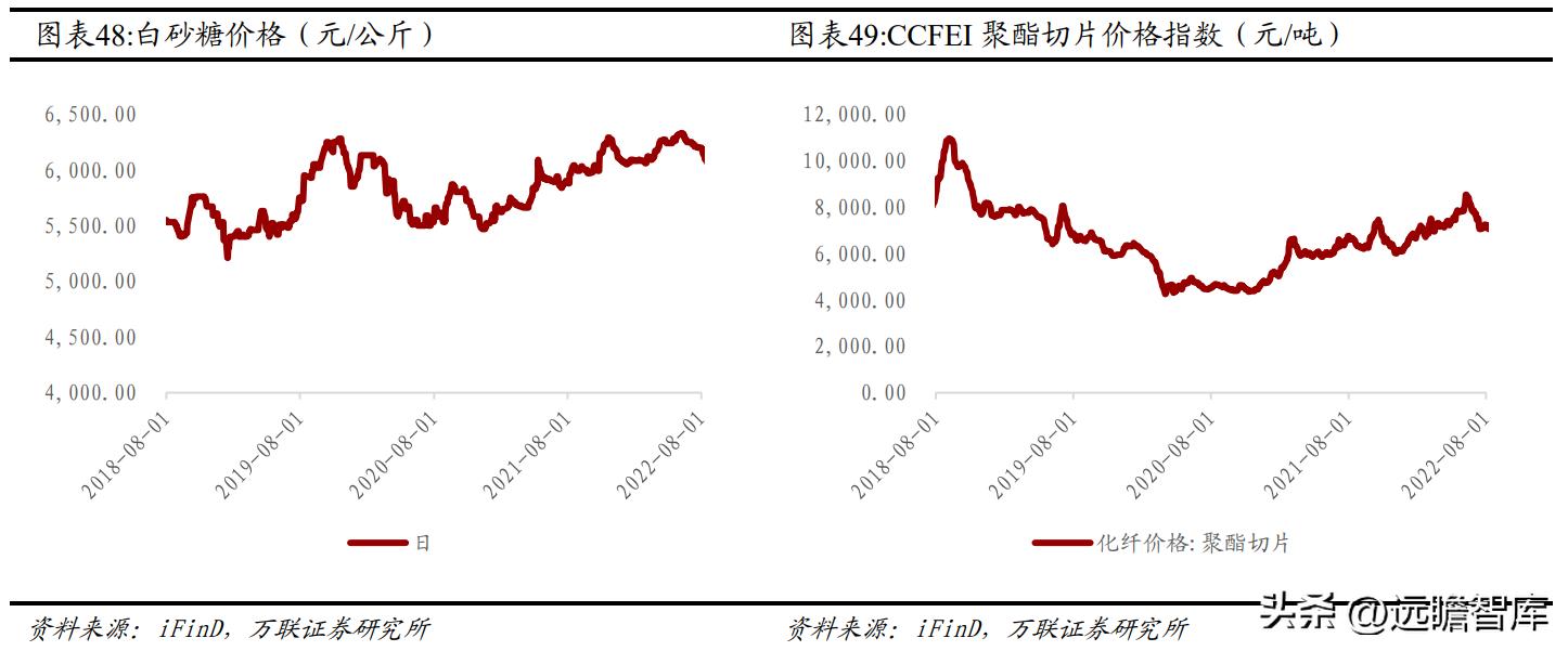 东鹏饮料未来空间,东鹏饮料新赛道