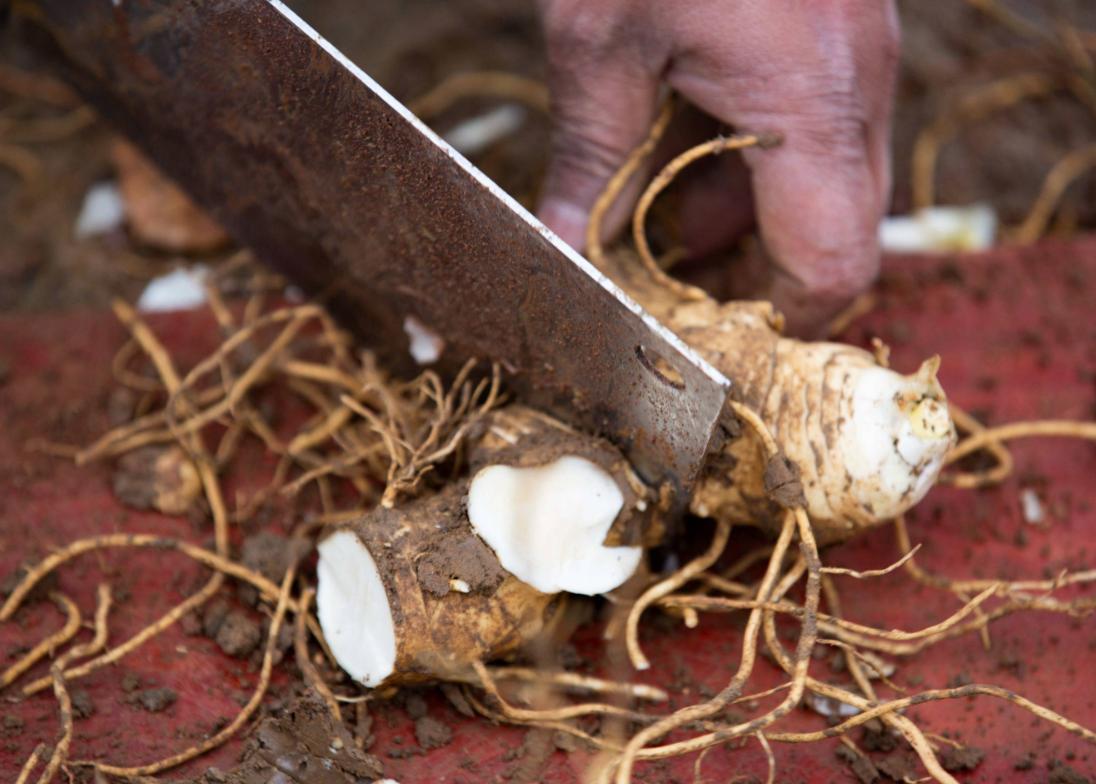 更年期脾虚的表现症状,脾肾虚和肾虚的区别