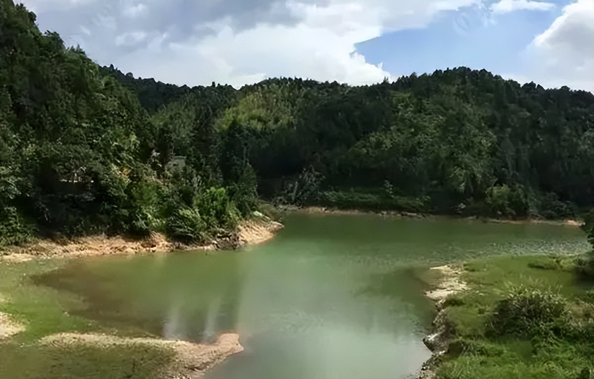 深圳鱼获多的钓鱼场,深圳最新钓鱼地点推荐