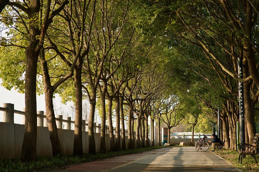 数电发票新变化,数电发票跨月冲红操作指引