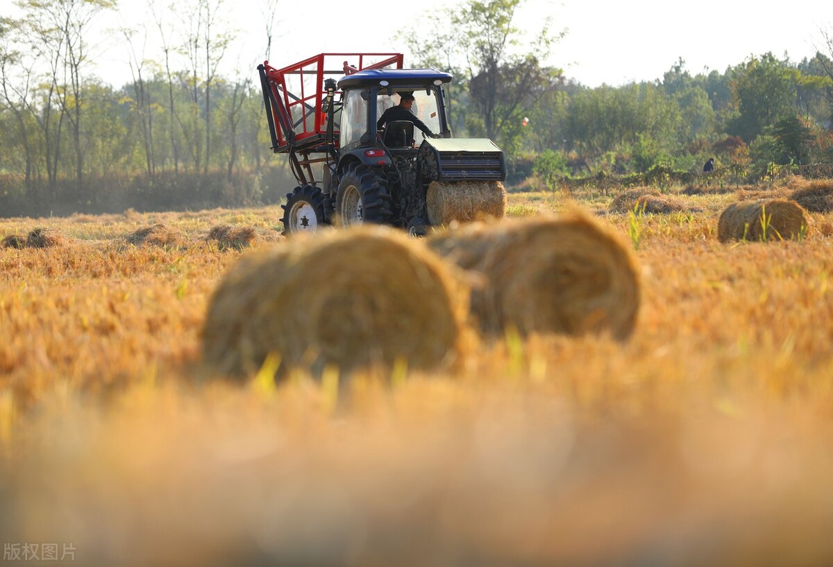 轻型水泥秸秆隔墙板,禁烧秸秆的背后