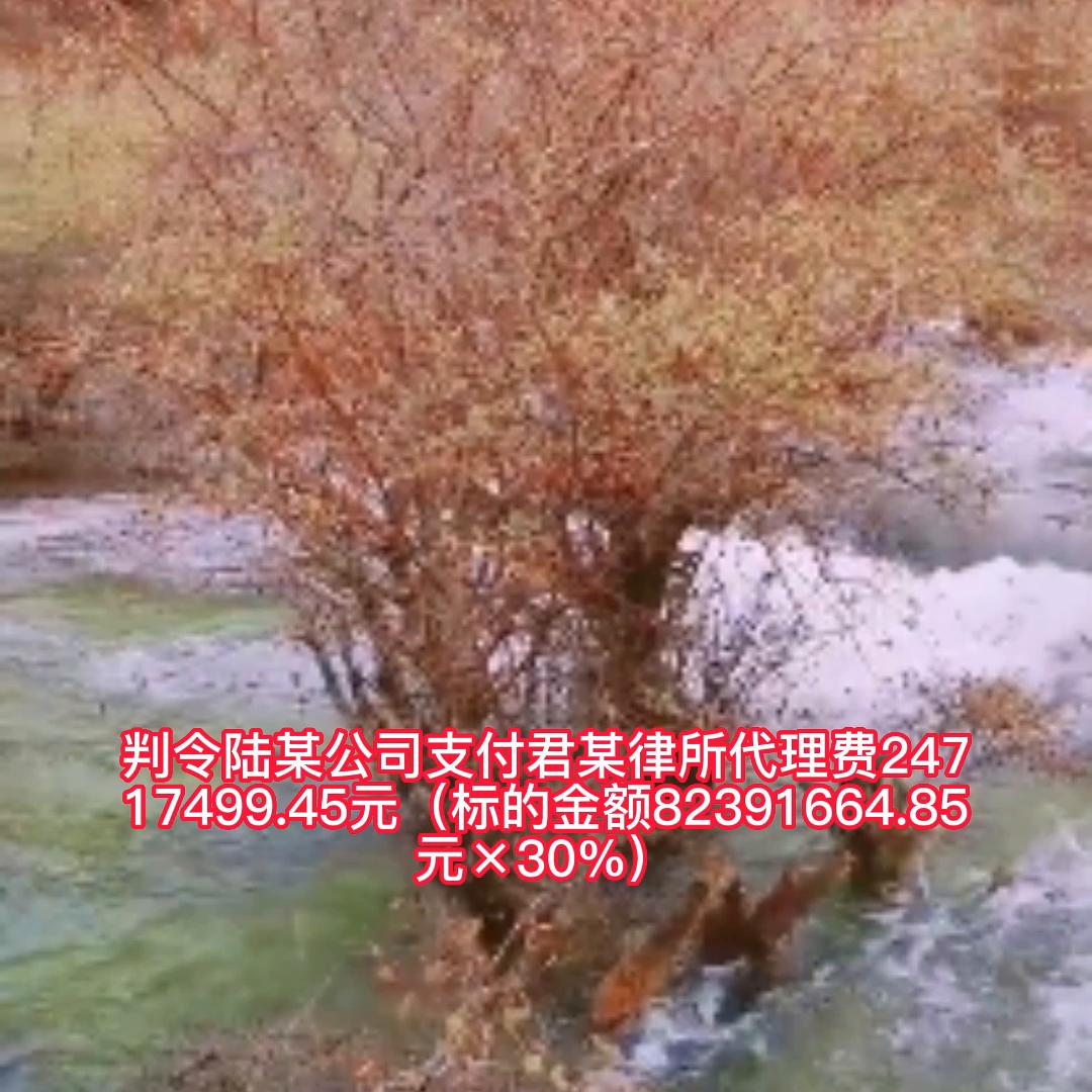 律师在一项委托事务中有损委托*权人**益时委托人可否解除其他...