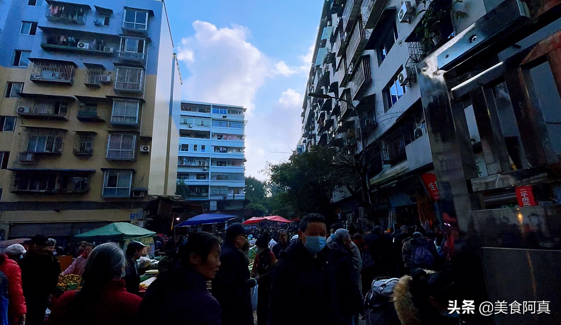 重庆狗儿市场有什么吃的,重庆主城狗市在哪里