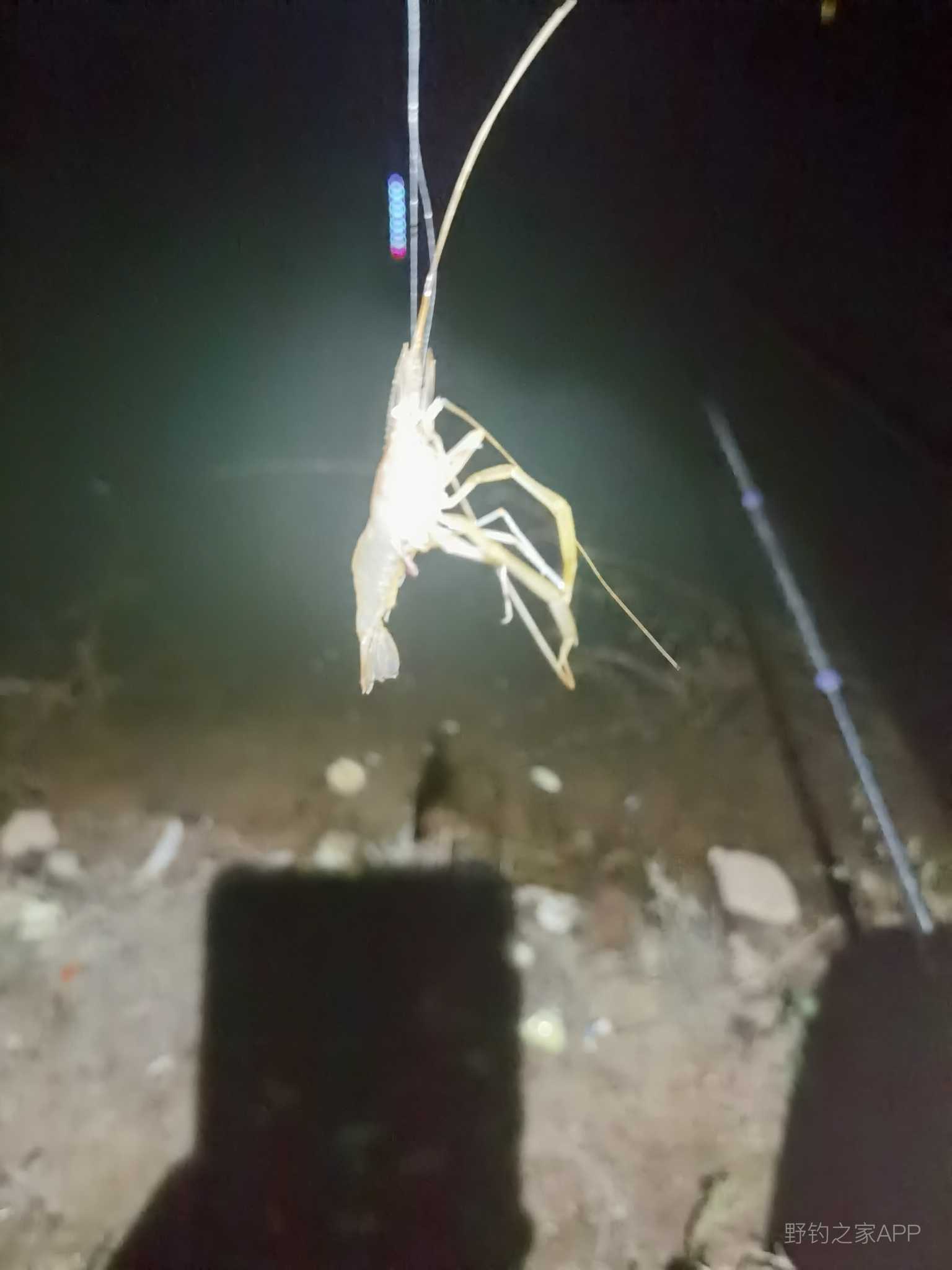 丰涧无功返，鹅宿钓泥鳅