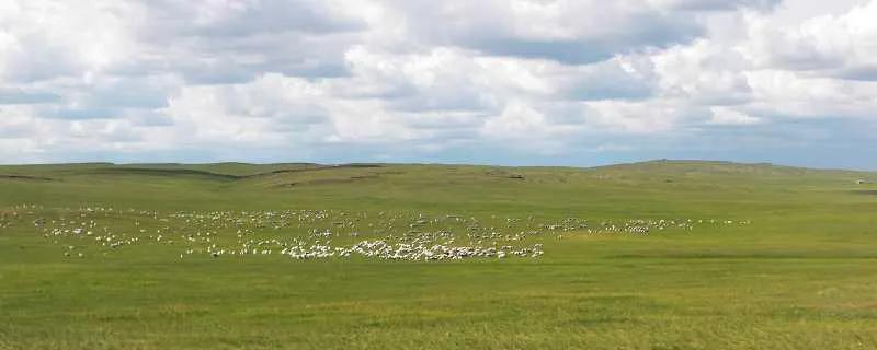 跟着老韩看世界,跟着爸妈游中国之游遍中国