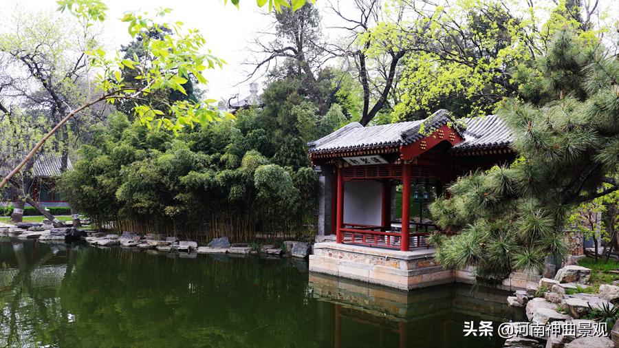 钓鱼台养源斋视频,钓鱼台国宾馆养源斋