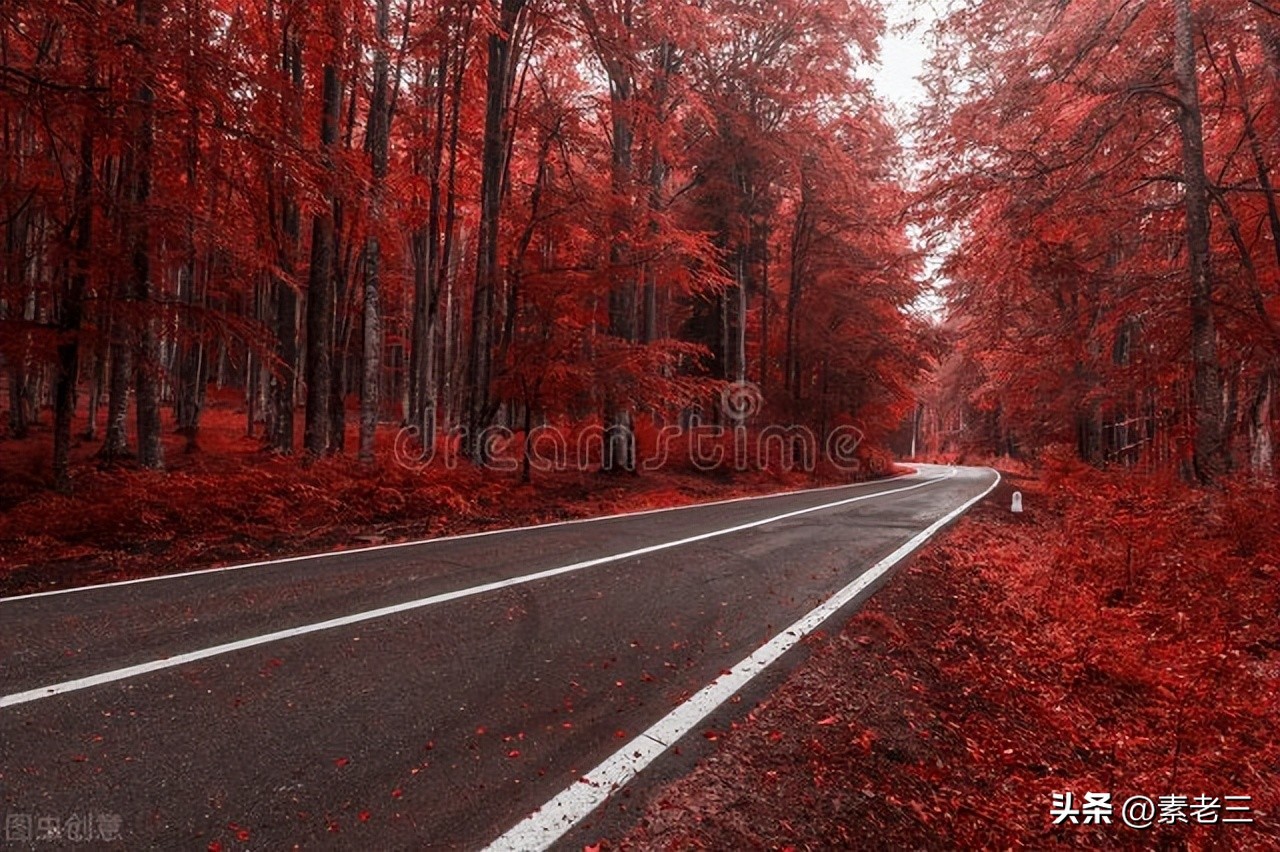 女作家去做保姆最新,女作家去做保姆最新篇443