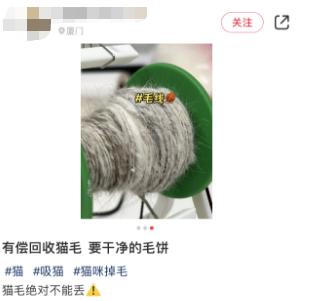 捡垃圾能做什么生意,捡垃圾可以做什么生意