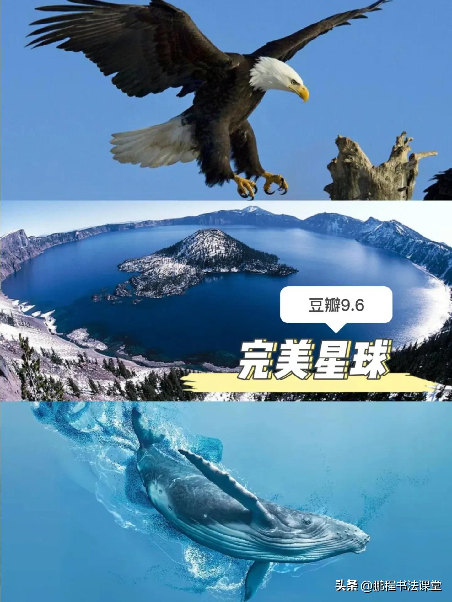 暑假学生推荐纪录片,暑假中学生适合看的纪录片