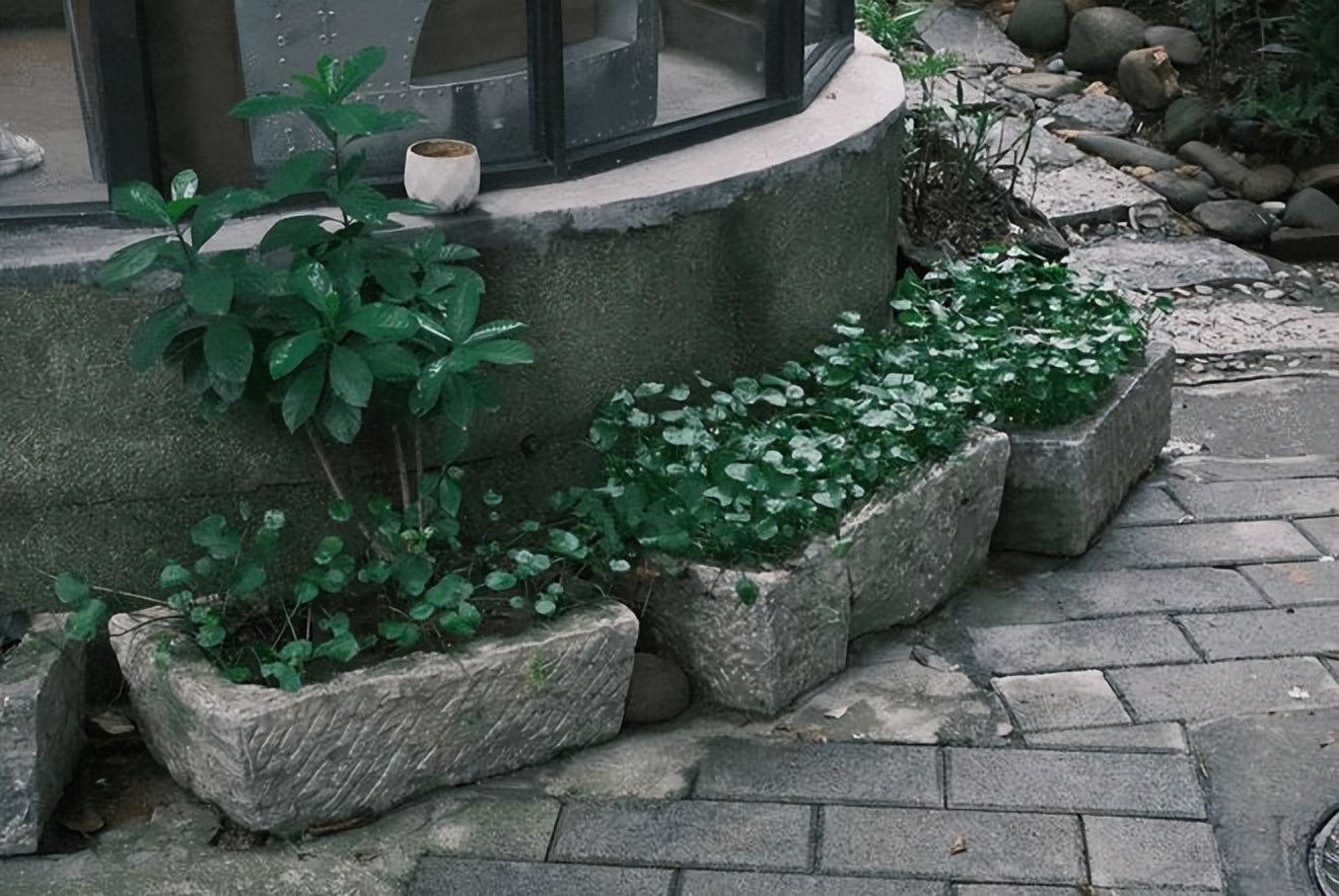 佛山70后老板打造300平书店弧形落地窗美翻了