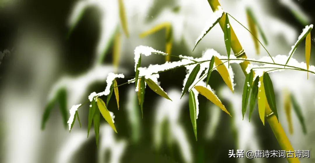 听雪花飘落原声,听雪花飘落的声音
