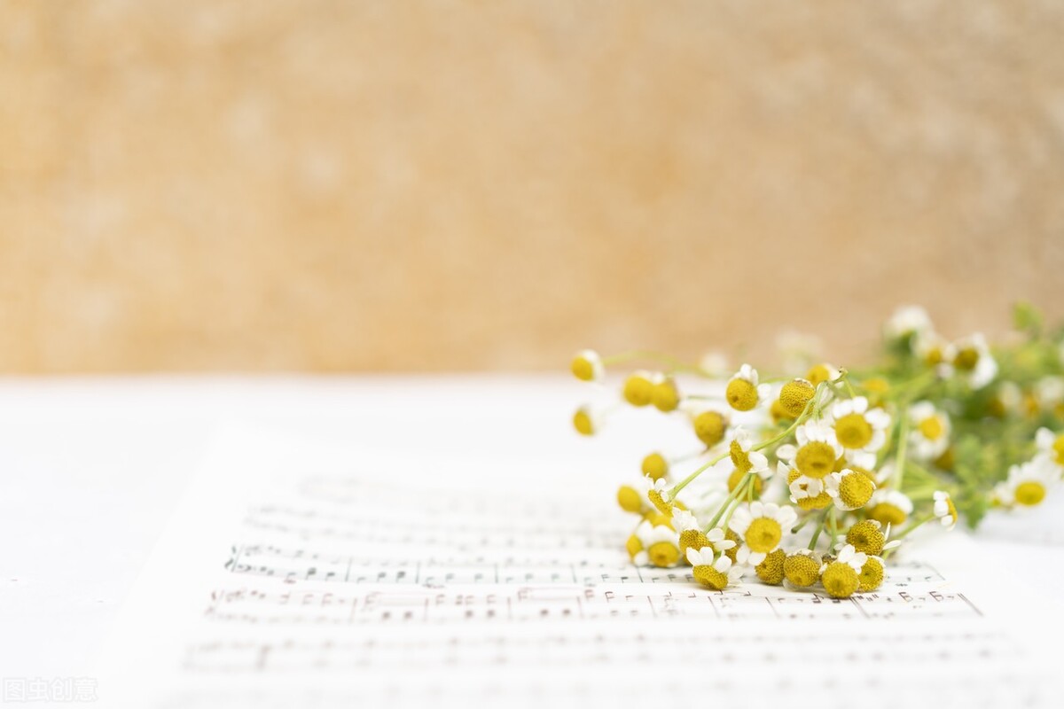 余生都要坚持的生活习惯,过好余生的每一天继续前行