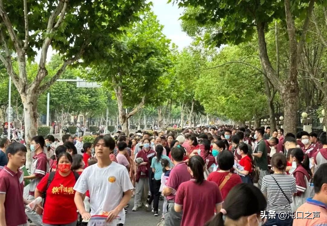 沌口有几所公立普高,沌口高中