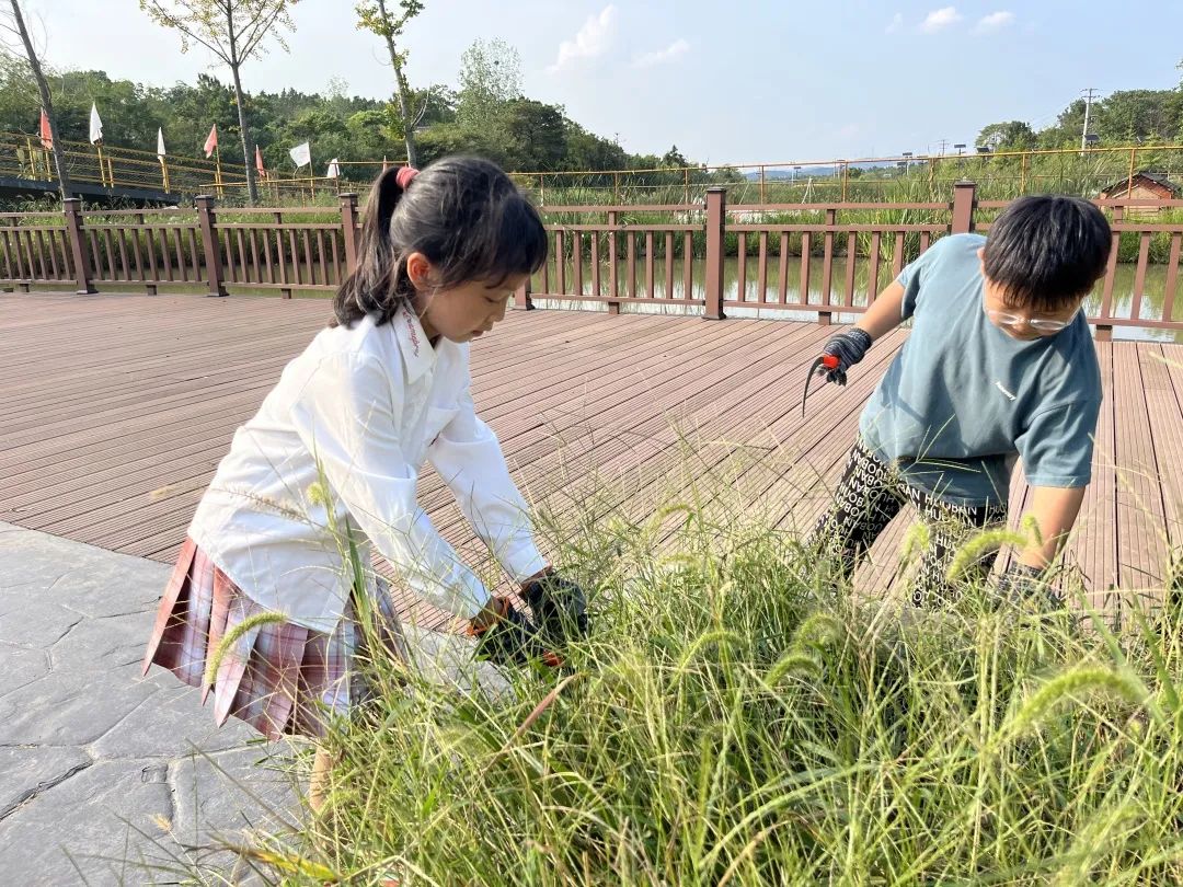 双减政策下少先队实践教育案例,双减政策下小学德育工作实践
