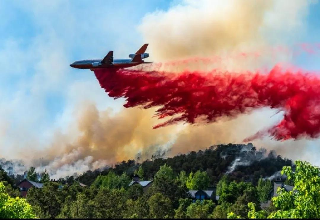 涓栫晫鍗佸ぇ瓒呮ā韬潗鍥剧墖鍥炬枃,涓栫晫鍗佸ぇ瓒呮ā鎯婅壋鍐欑湡