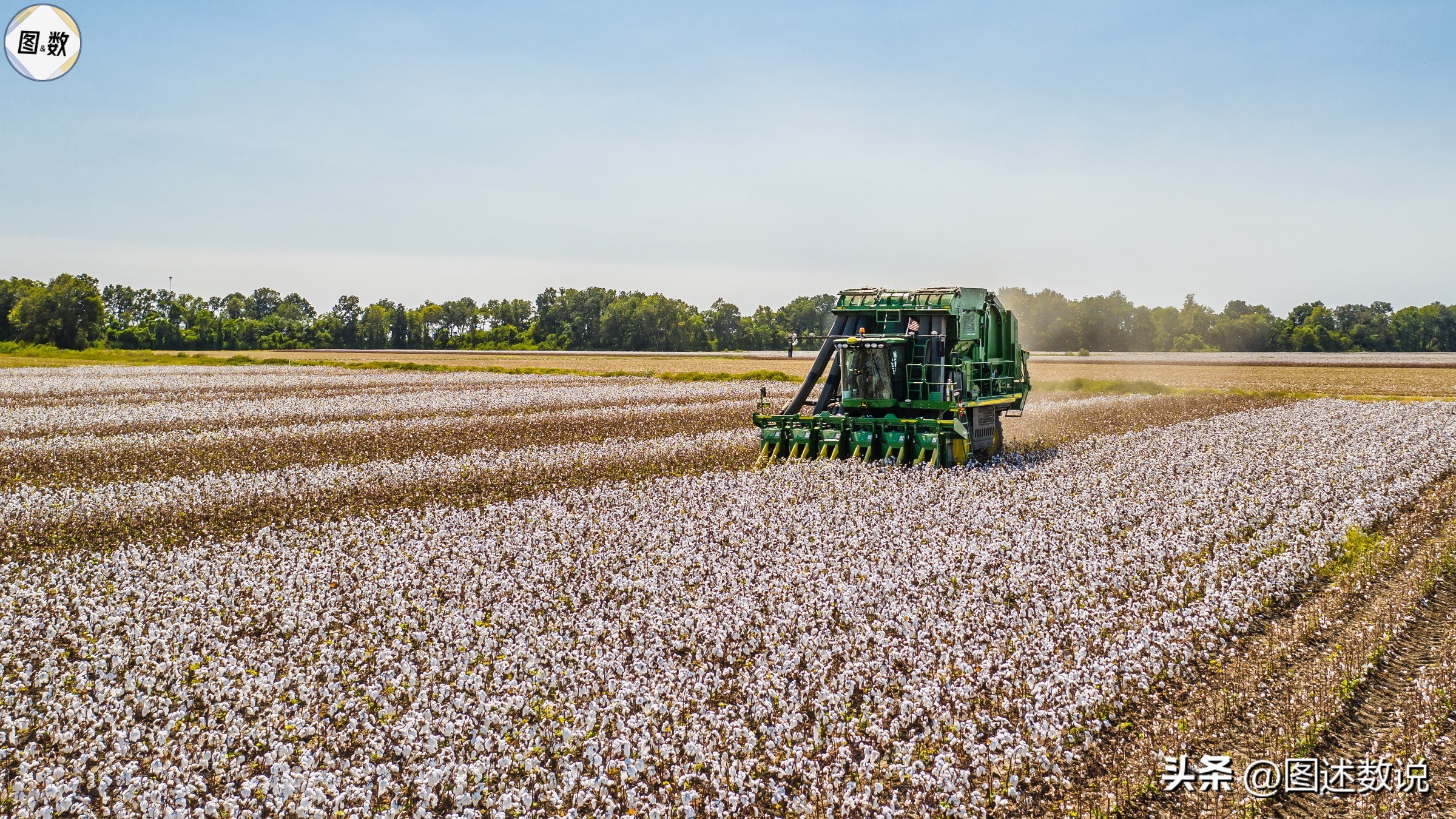 塔什干足球地理：唐僧、狄仁杰与索尔仁尼琴