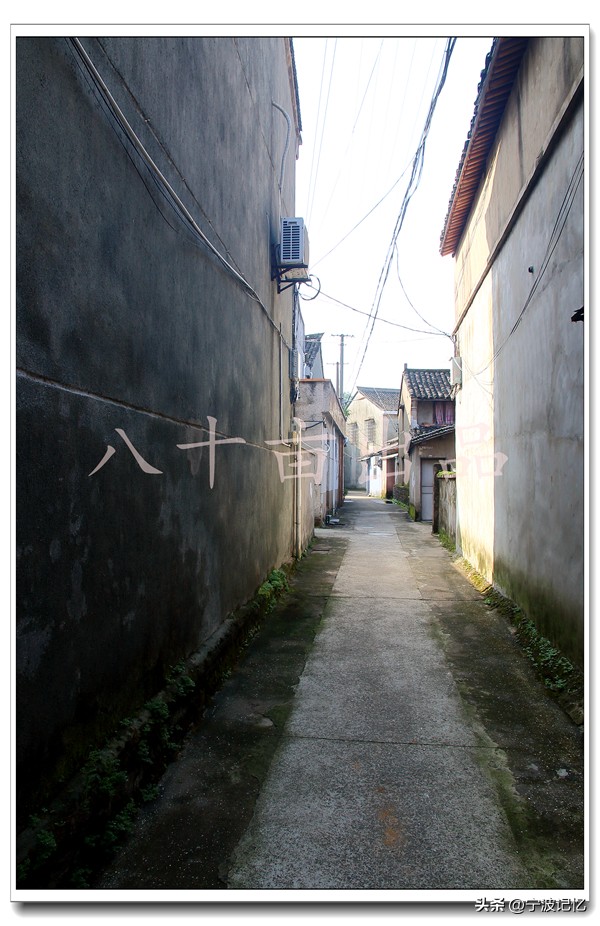 宁波市海曙区龙观乡政府网,宁波市海曙区龙观乡大庄水库