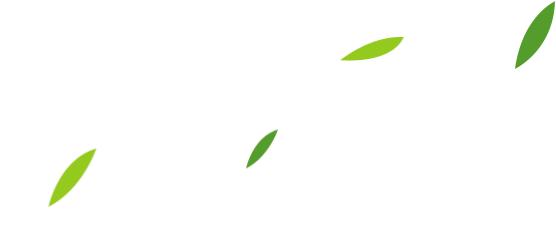 清明祭扫最新提醒,祭扫注意事项