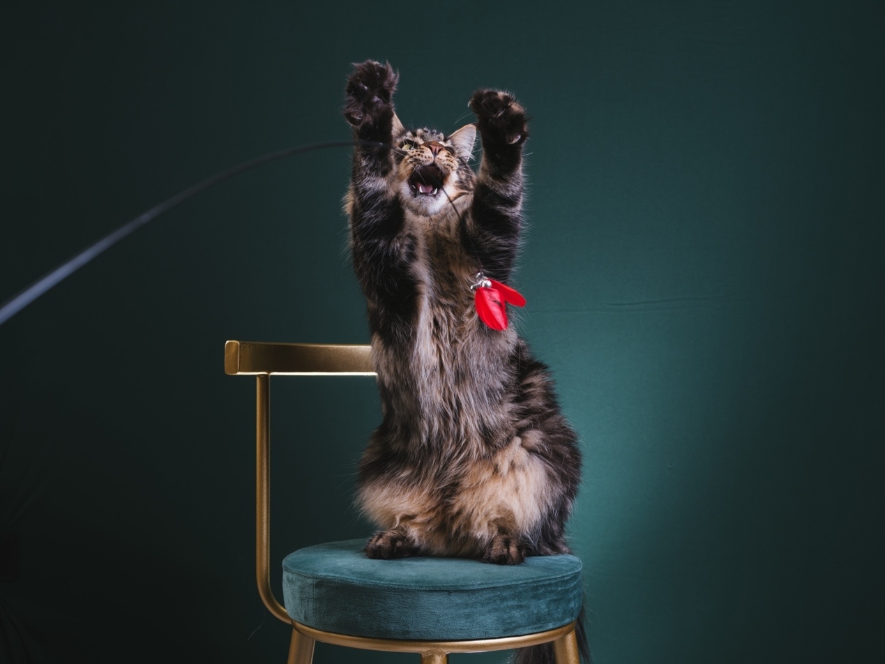 富士gfx50sii618活动,富士gfx50sii快速入门