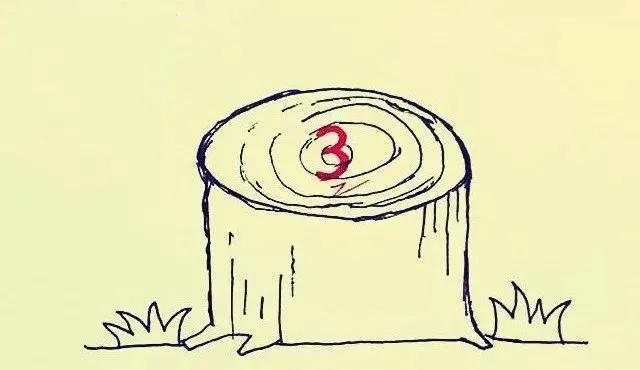 成语故事不甚了了,成语不甚了了的解释