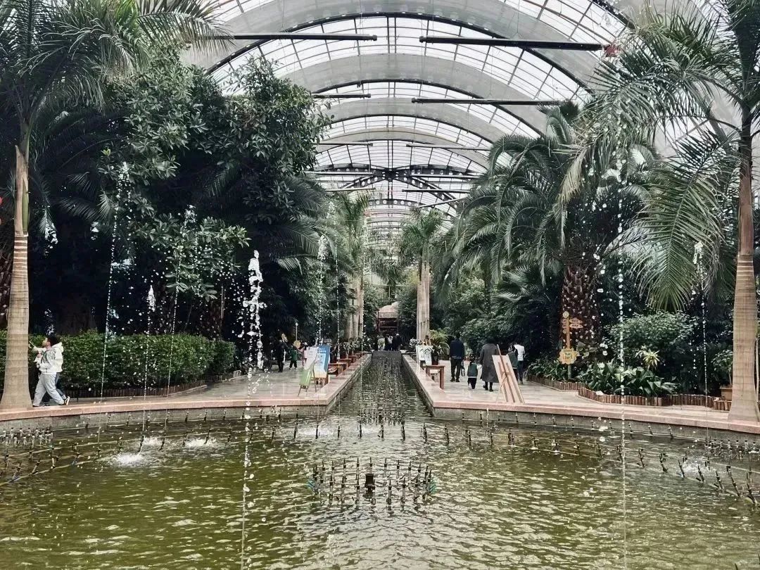 天津房车公园露营基地,一张天幕露营