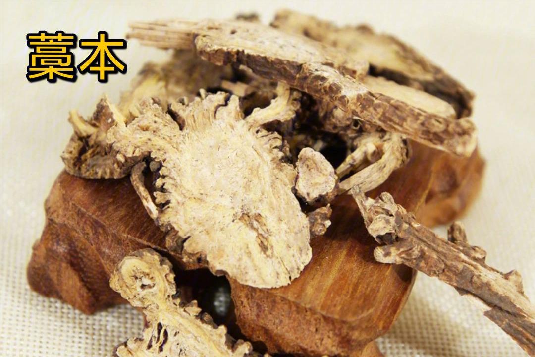 中药藁本的妙用，长见识了