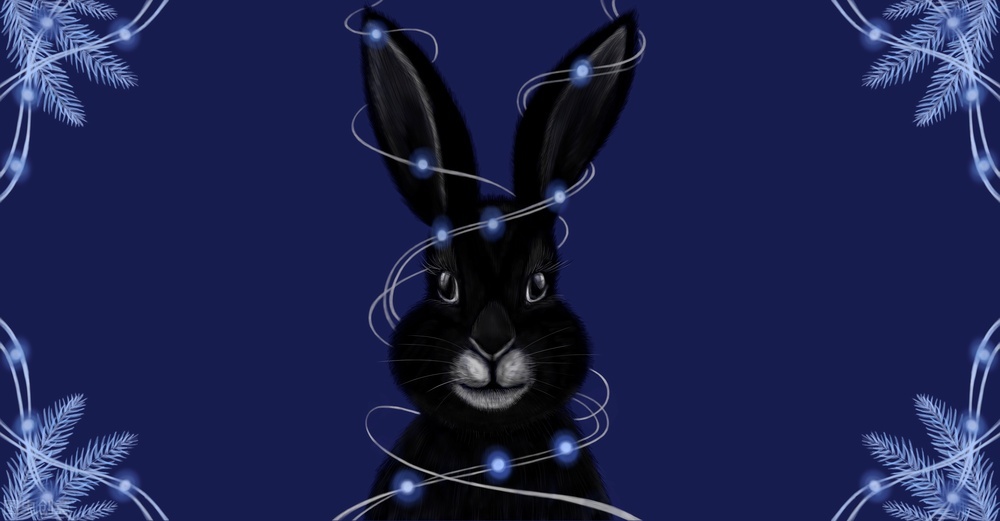 2023年是黑兔年是不是灾难多,2023年是黑兔劫吗