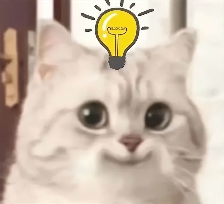 护照签证页还有6页,护照签证页剩余4页