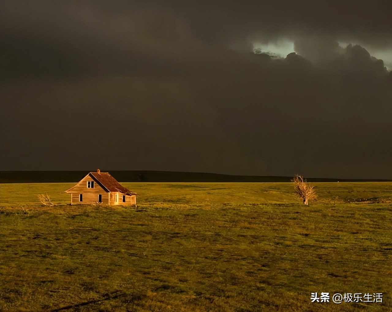 炎炎夏日给您带来视觉上的凉爽,发几张夏天炎热的图片