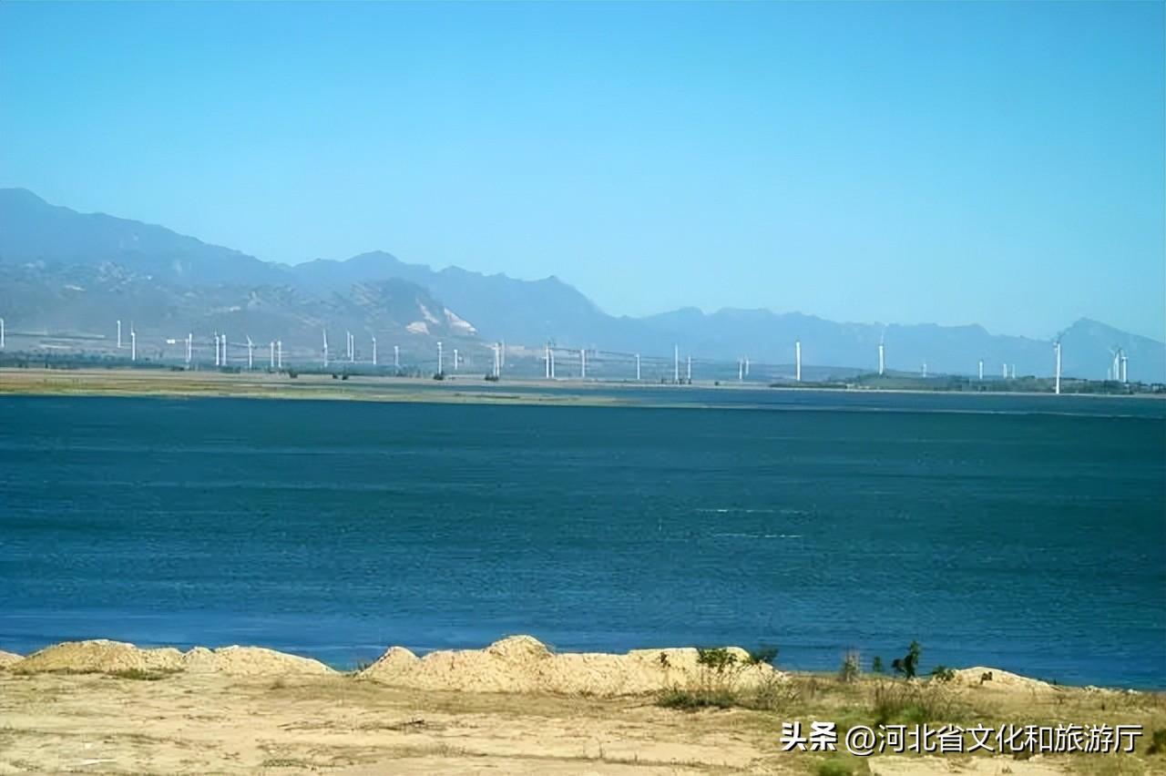 *情纵**草原畅玩河北|风车,草甸,银河……在河北的草原上拥抱无尽诗意与浪漫