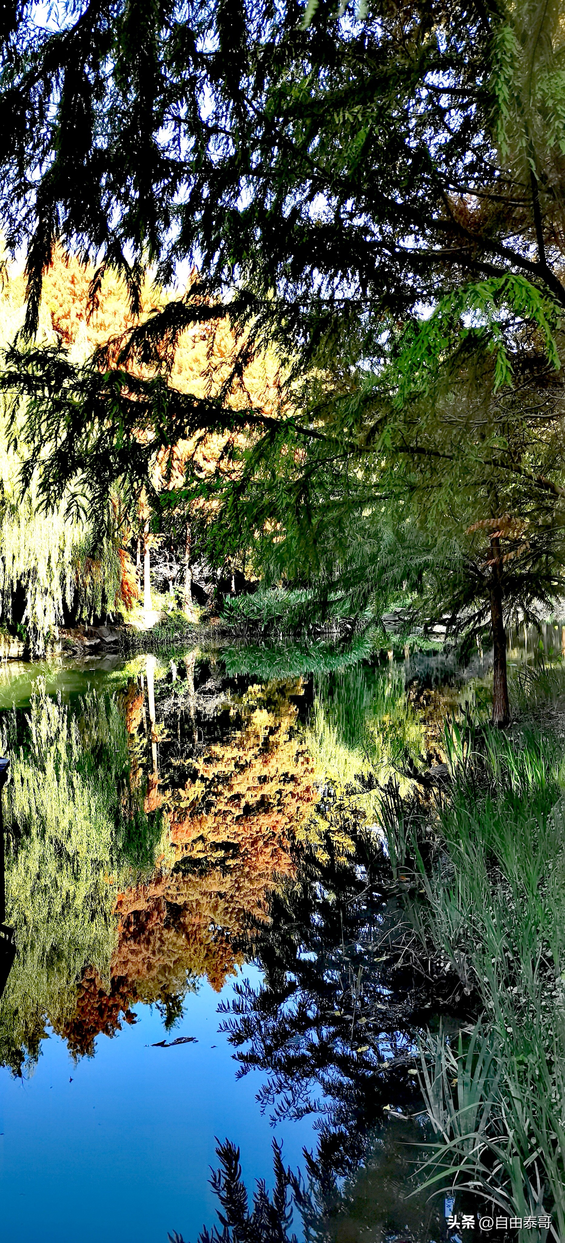 临平最大的亲水公园,临平最好公园排名