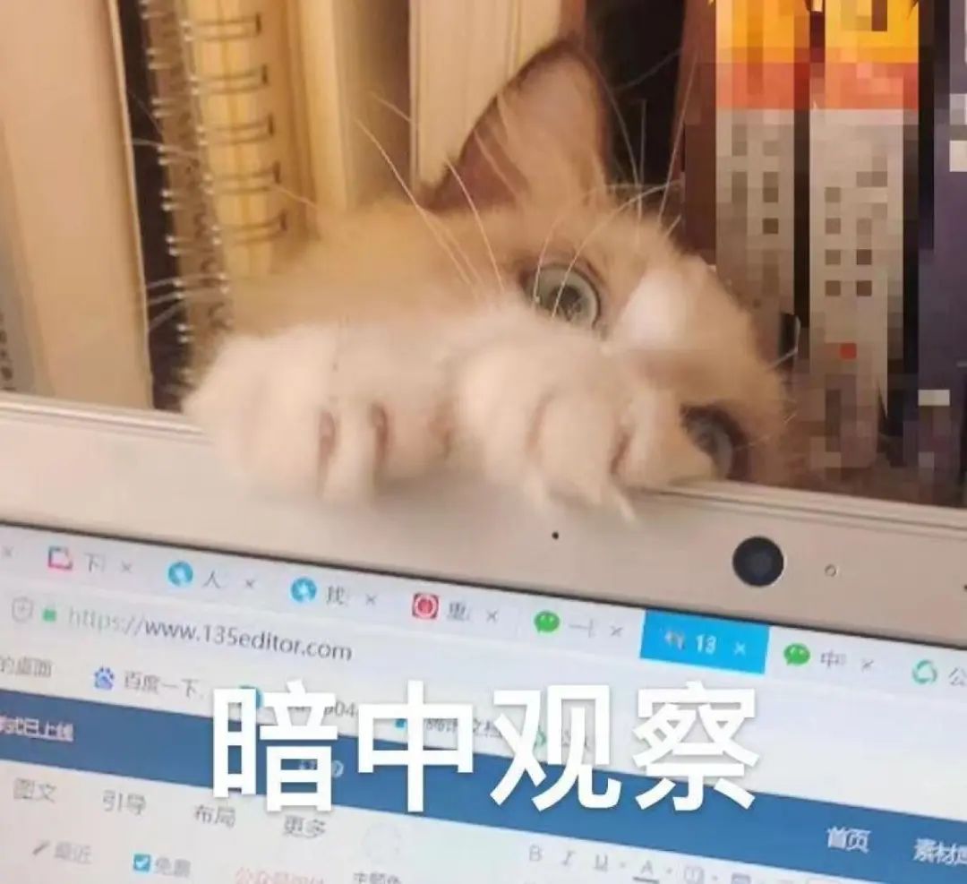 广州市2020年11月份车牌竞价均价,广州2020年12月车牌竞价预测