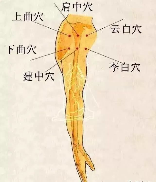 中医治小儿厌食针灸穴位,董氏针灸治疗帕金森处方