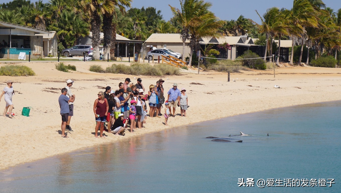 一路向北全程1980公里,西澳自驾游最佳路线图