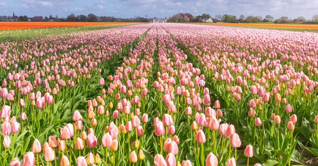 谋生赚钱和养生的能力,人生要先学会挣钱再学会养生