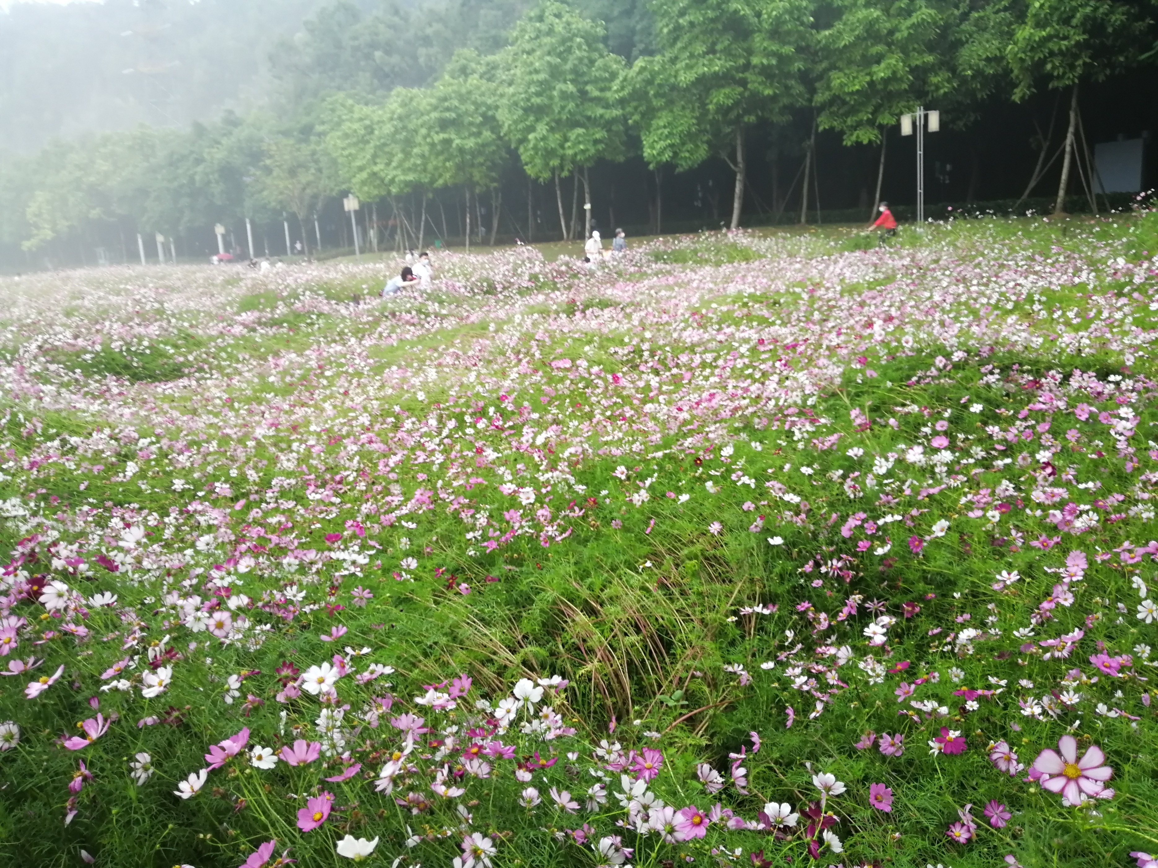 打卡广州地铁7号线,打卡广州最美7公里